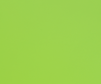 3119 PARROT GREEN 